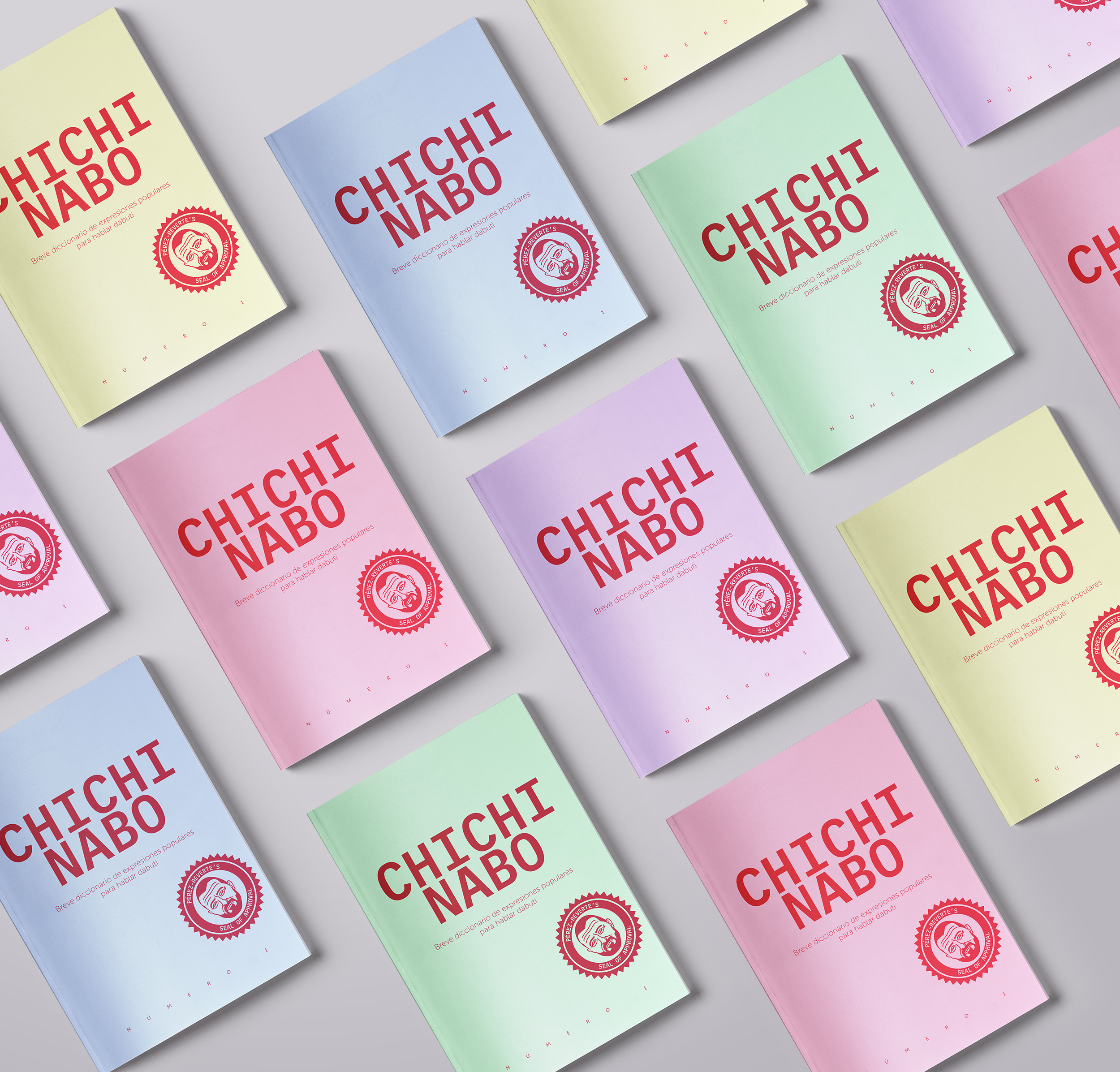 Several zines over a grey background.